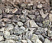 Крихта мармурова "Смарагдовий Острів" KLVIV фр. 12-20 мм (Міш.25 кг), фото 2