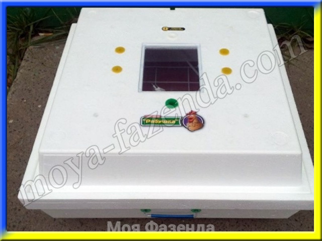Інкубатор механічний Рябочка 38 яєць
