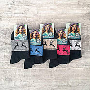 Шкарпетки жіночі демісезонні Дукат, фото 2