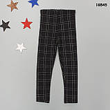 Лосини зі стрілками для дівчинки. 110-116 см, фото 2