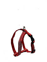 Шлея для собак капронова Неон для тварин