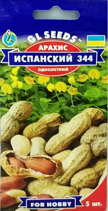 Насіння арахісу Іспанська 5 шт, GL SEEDS, фото 2