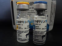 Біокан НОВЕЛ DHPPi + L4 проти чуми, аденовірозу, парвовірозу,парагрипу, лептоспірозу собак