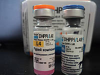 Біокан НОВЕЛ DHPPi + L4R проти чуми, аденовірозу, парвовірозу,парагрипу, лептоспірозу та сказу собак