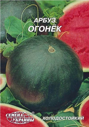 Насіння кавуна Вогник 20 г, Насіння України, фото 2