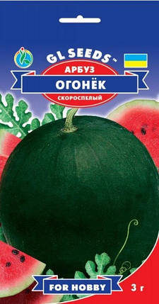Насіння кавуна Вогник 3 м, GL SEEDS, фото 2