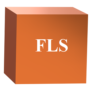 File Lookup Services (FLS) File Lookup Services (FLS)