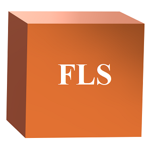 File Lookup Services (FLS)