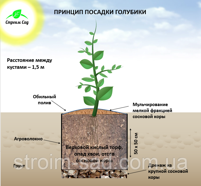 Торфосубстрат ( для лохини) 35 л