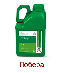 Селективний гербіцид Лобера. Гербіцид на ріпак, буряк, овочеві культури. Альфа Смарт Агро