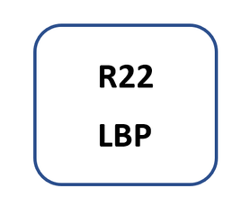 Secop LBP (R22)