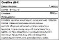 BioTech (USA) Creatine pHX, Креатин (210 капс.), фото 2