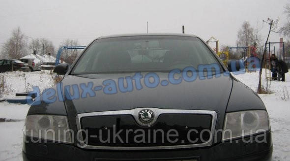 Зимова матова накладка на решітку (верхня) на Skoda Octavia A5 2010↗ рр.