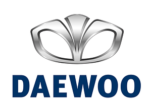 Зимові накладки для Daewoo