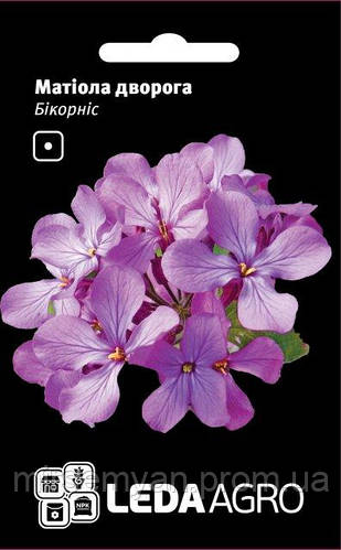 Купить Матиола дворогая "Бикорнис" 0.2г. L (Hem Zaden B.V. Netherlands ...