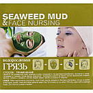 Грязьова маска для обличчя та тіла Груди водорості (очищаючі, зволожуючі) 300 g CMD-089, фото 5