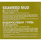 Грязьова маска для обличчя та тіла Груди водорості (очищаючі, зволожуючі) 300 g CMD-089, фото 6