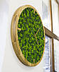 Годинник настінний з мохом діаметр 70 см, фото 4