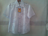 Рубашка для мальчика, белая с коротким рукавом ворот 28, 29, 35 37.