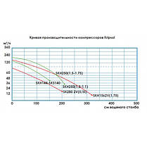 Компресор Hayward Grino Rotamik SKH 251M.В (216 м3/год, 220В), фото 3