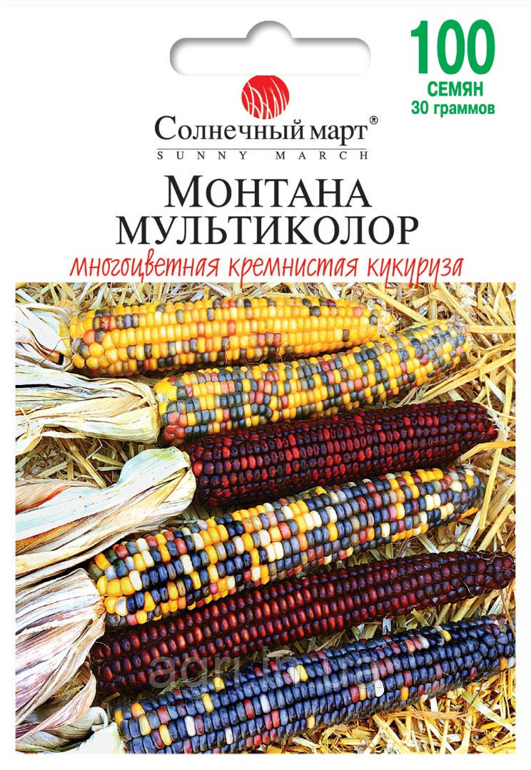 Кукурудза Монтана Мультиколор, 30г.