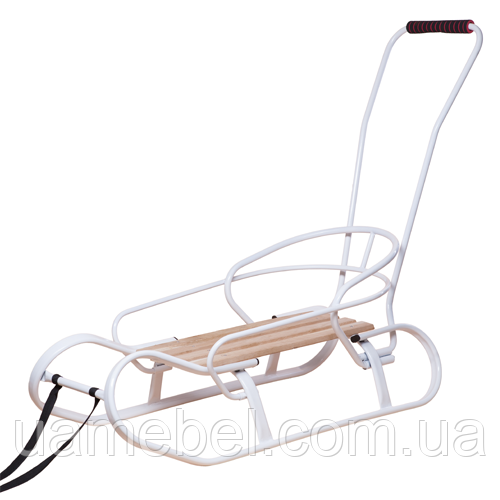 Санки Експрес + спинка + ручка