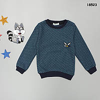 Світшот для хлопчика. Маломірить. 110-116; 116-122 см