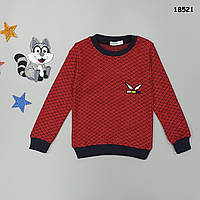 Світшот для хлопчика. Маломірить. 110-116; 122-128 см