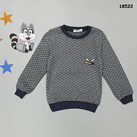 Світшот для хлопчика. Маломірить. 110-116;  116-122;  122-128 см