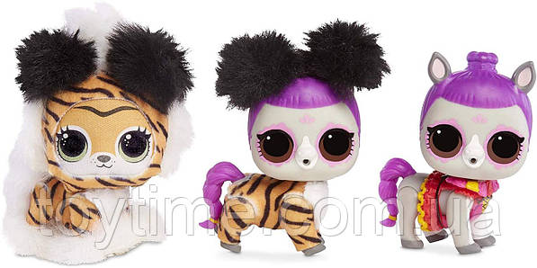 Winter disco pets hotsell