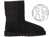 Женские ботинки UGG Classic Short Boot Black 5800