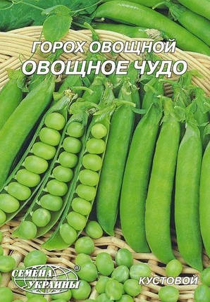Насіння горох Овочеве диво 20 г, Насіння України, фото 2