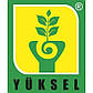 Пінк Кою F1 100 шт Yuksel Seeds Індетермінантний Томат Насіння (Пінк Кою F1 Індетермінантний Томат Насіння), фото 5