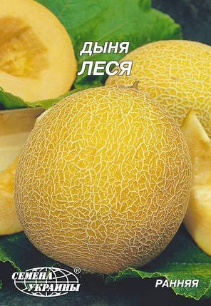Насіння дині Леся 10 г, Насіння України, фото 2