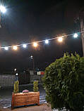 Вулична Ретро Гірлянди Belt Light з LED Ламп Е27 ➔ 3 шт/м, 5W, фото 2