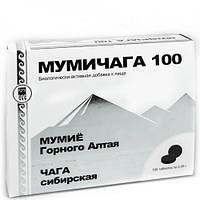 Мумичага 100 Арго (чага, мумие) заживление раны, ожоги, язва, инфекции, травмы, переломы, онкология