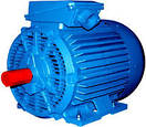 Електродвигун АМН 315S2) 200кВт/3000об / хв, фото 2