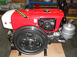 Двигун дизельний ДД195ВЭ (12 к. с.), фото 6