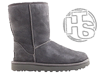 Женские ботинки UGG Classic Short Boot Grey 1016223P