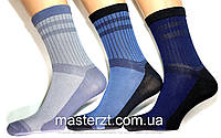 Шкарпетки чоловічі Мастер 25-27р демісезонні рубчик високий¶