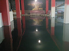 ПК 201 (епоксидна наливна підлога)