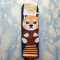 Женские носки с принтом демисезонные синие 36-41 Золото