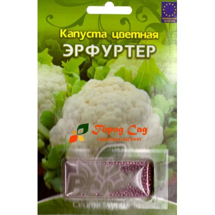 Насіння капусти цвітної Ерфуртер 100шт інкр. ТМ ВЕЛЕС, фото 1