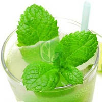 Насіння М'яти та Меліси