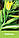 Кабачок Байя (СВ11-46) 500с, фото 4
