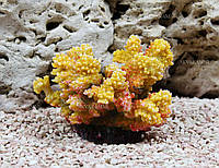 Искусственный коралл Trixie 12см