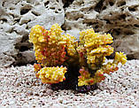 Штучний корал Trixie 12см, фото 4