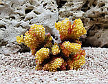 Штучний корал Trixie 12см, фото 3