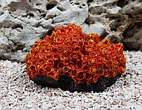 Искусственный коралл Trixie 15см