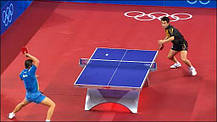 Спортивне покриття для настільного тенісу Taraflex Tennis de Table (Франція), фото 6